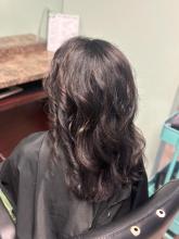 medium long black hair with chocolate brown highlights subtle dimension layers layered haircut hush cut brantford salon hair hairstylist hairdresser hair school hairstyling diploma 